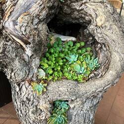 Kreative Barbsitzer🤩