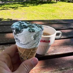 Bei den Felsritzungen gab es mal ein Lakritzeis zum Kaffee