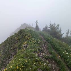 Unterwegs Richtung Mörzelspitze