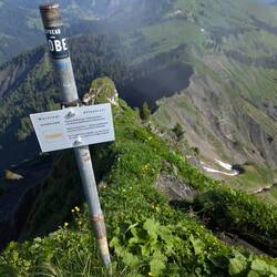 Sicht von oben, bis zum Waldanfang