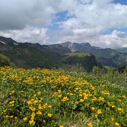 Blick zurück zum Hohen Freschen
