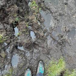 Der Schlamm am Anfang der Tour war hart 😅