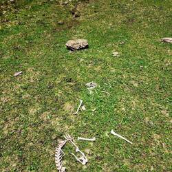 Lawinenopfer pflastern unseren Weg 😱