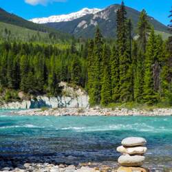 Kriegen nicht genug hiervon