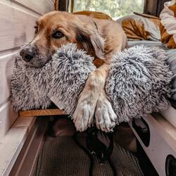 Wann geht die Tür auf? Diesen Vorgarten mag ich besonders