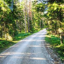 Der Weg zum Übernachtungsplatz