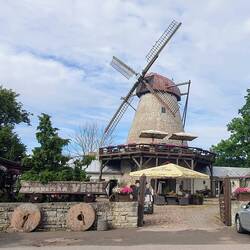 Windmühle in Kuressare mit Restaurant