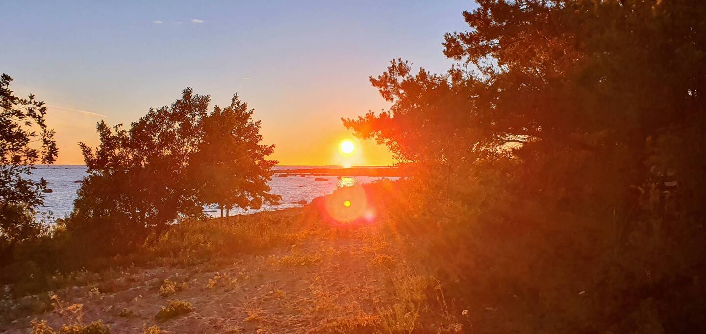 Sonnenuntergang auf Hiiuma am längsten Tag des Jahres: 23.15 Uhr