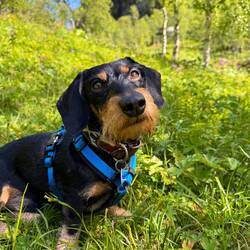 Beinahe hätte er unten auf uns warten müssen ;-)