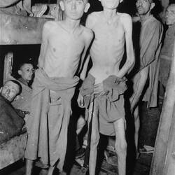 Condition of the healthiest Jews found by red army im same barracks