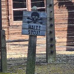 In Polish and German