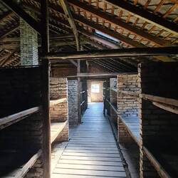 Birkenau womens death camp bunks, 6 people per level. Weakest on bottom