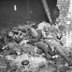Birkenau Crematorium, condition the russians found it after Nazis fled