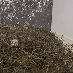 Dead Jews glasses (10,000) sorted