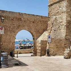 Monopoli