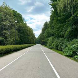 Fussgänger links neben dem Busch, alles nur für Velos & Skater