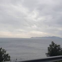A quick glimpse of Kapiti Island