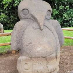 Vogel frisst Schlange