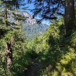 Der Aufstieg nach der Kessischlucht beginnt