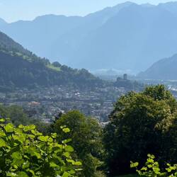 Blick auf Schloss Sargans