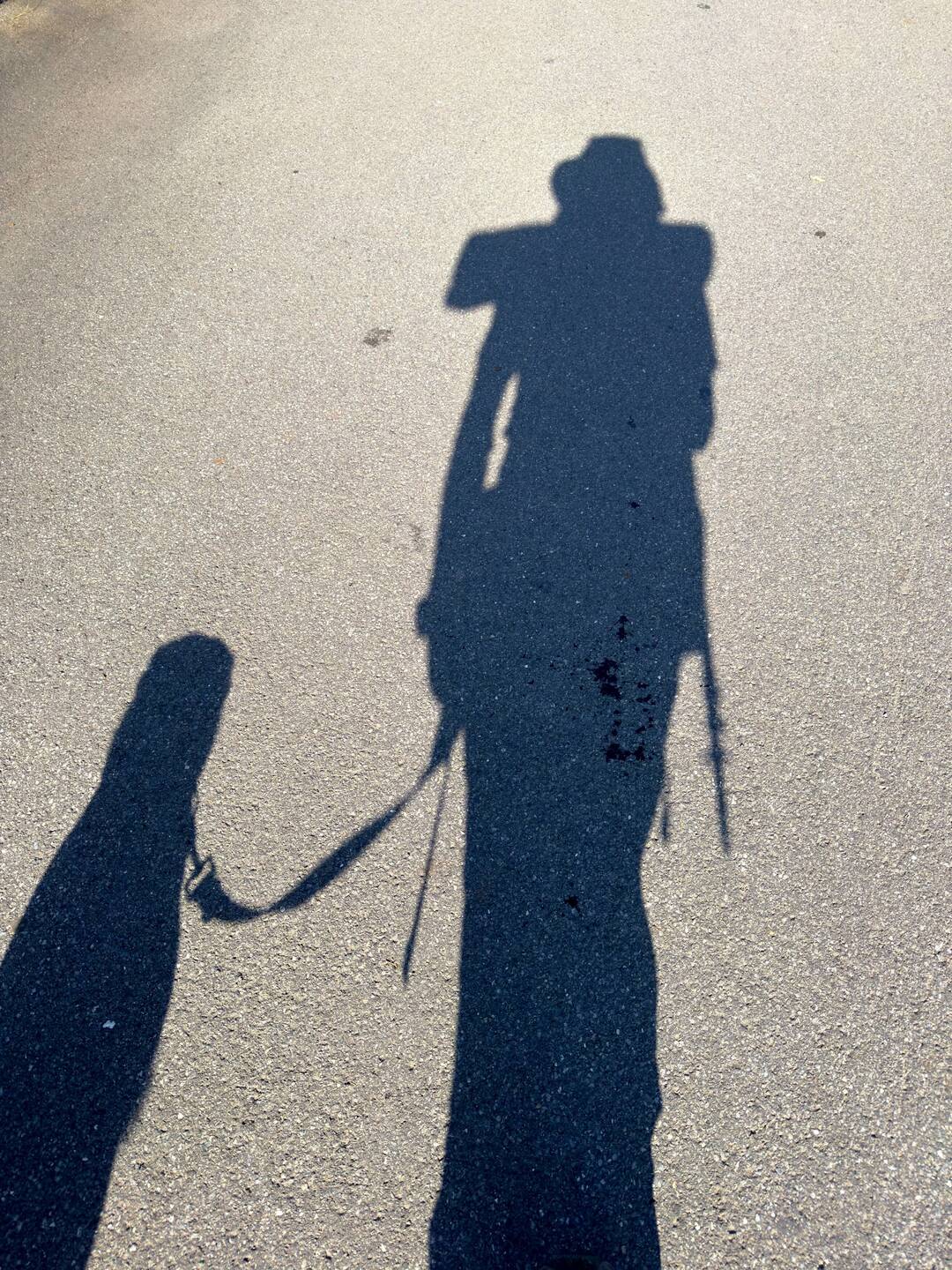 Bereits am frühen Morgen sonniges und warmes Wetter