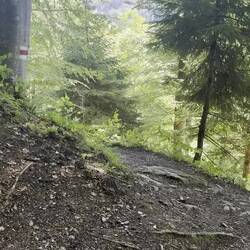 Was man da suf der Wanderung so entdeckt 😉