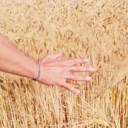Oh le frisson !