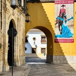 Cordoba is also known for flamenco and for being home to the royal equestrian center.