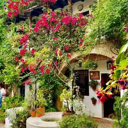 A few of the homes stay open thru the summer. We got to see two.