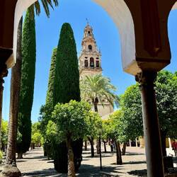 View of cathedral tower from the plaza.