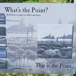 Bird Point