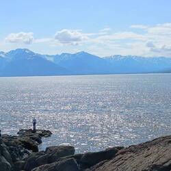 Beluga Point