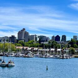 the small ones are the seabuses (public transport)