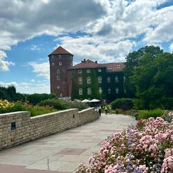 Auch Schloss Wawel