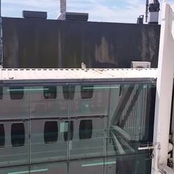 Möwenbaby sucht Mama