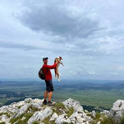 König der Löwen, äh nee... Hunde 🐶 😂