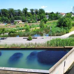 Der Wassergarten