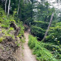 Coole Trails kurz vor dem Ziel
