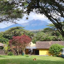 Blick beim Frühstück