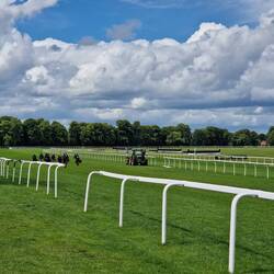 A team treading in the turf at Worcester Racecourse