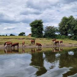 We couldn't moor on the river banks like we could on the canals