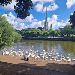 Worcester Swan Sanctuary