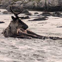 Einfach zu geil 😅