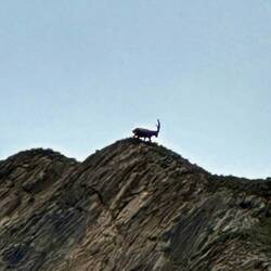 Und zum Abschied grüßt uns noch der Steinbock