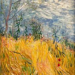 Edge of a Wheat Field with Poppies ... by Vincent van Gogh (Dutch) ... the DAM — Denver, CO.