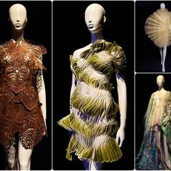 Biophilia ... dresses inspired by nature ... the DAM — Denver, CO.