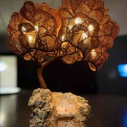 Biophilia ... One-seater Concrete Tree ... by Nacho Carbonell (Spanish) ... the DAM.