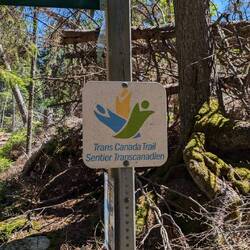 Hiking on a trail in Fundy NP