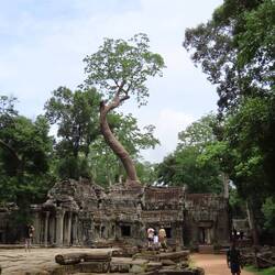 Tomb Raider temple.