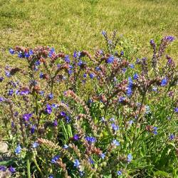 Auf dem Weg zur weißen Düne